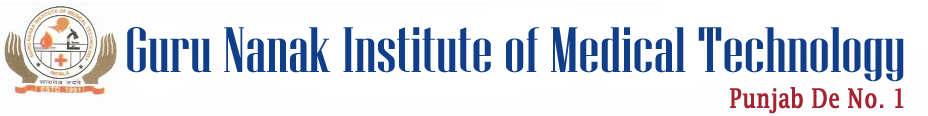 Guru Nanak Institute