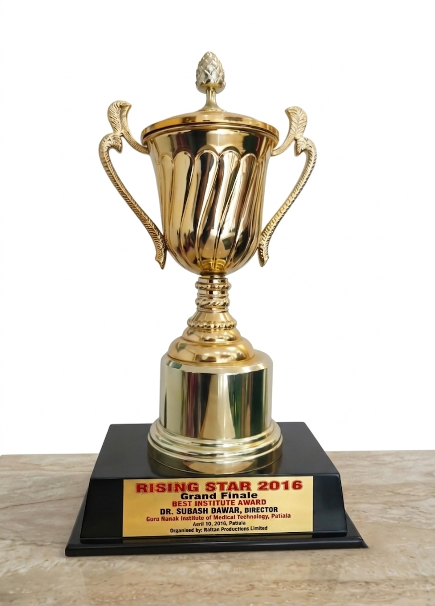 Best Institute Award trophy