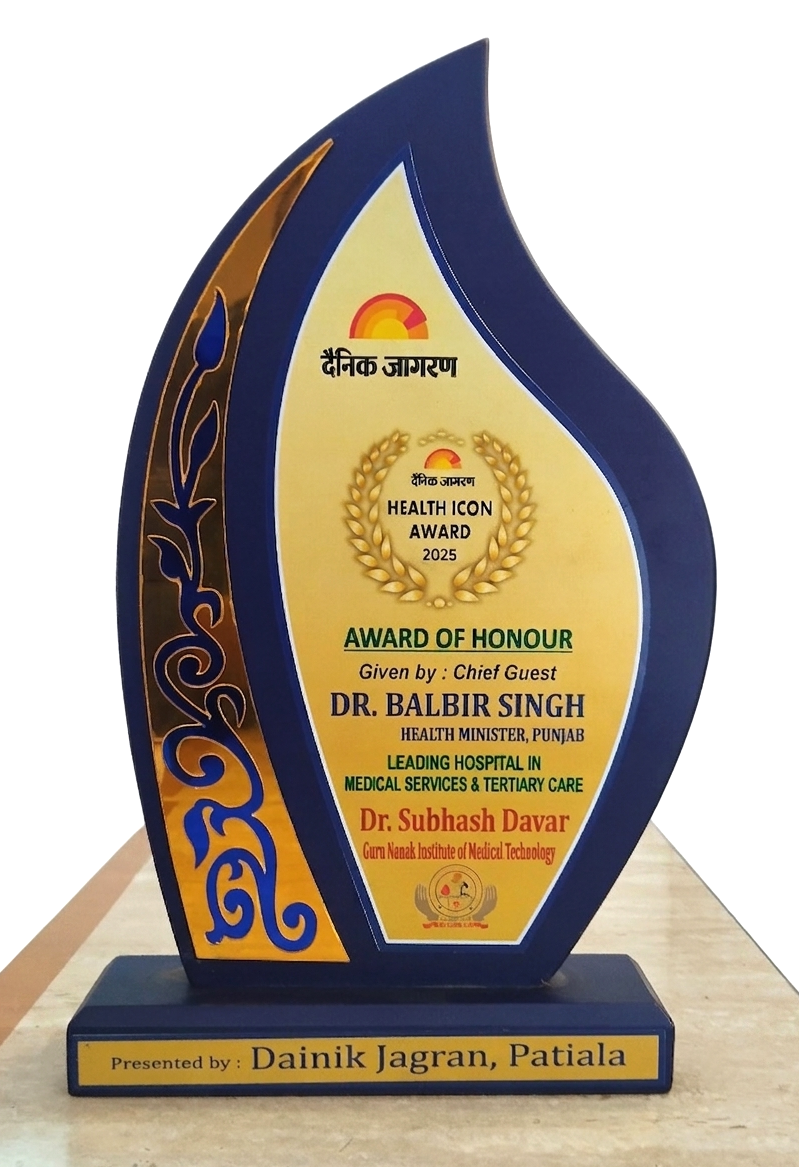 Health Icon Award 2025 trophy