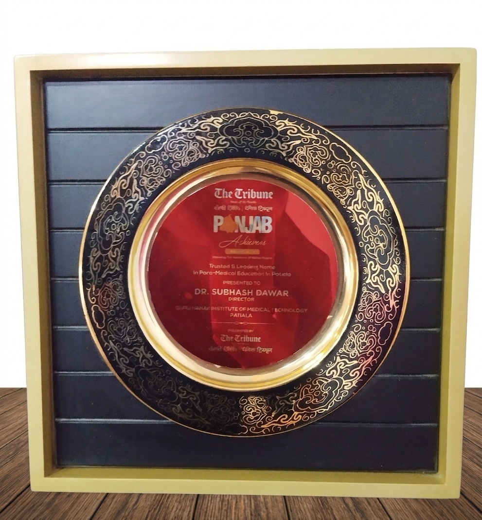 Punjab Achievers award